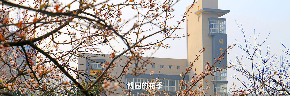 万博科技职业学院官网